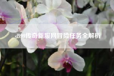 sf999传奇新服网冒险任务全解析