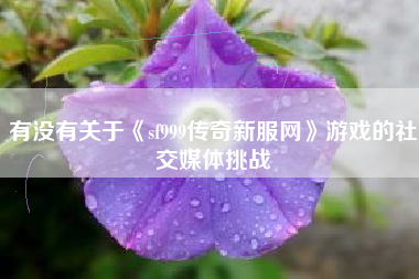 有没有关于《sf999传奇新服网》游戏的社交媒体挑战