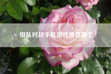 组队对战手机游戏推荐哪个
