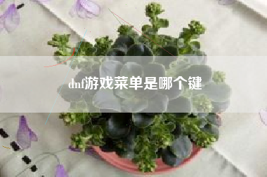 dnf游戏菜单是哪个键