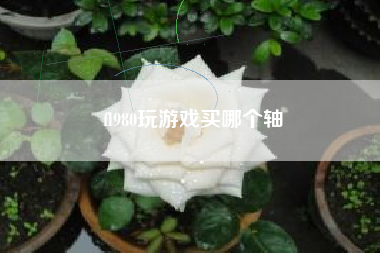 fl980玩游戏买哪个轴