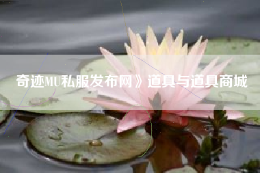 奇迹MU私服发布网》道具与道具商城