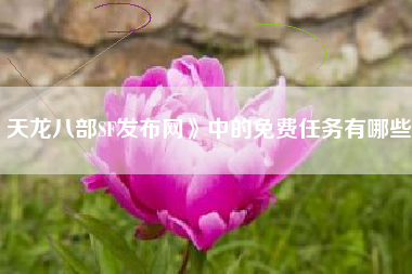 天龙八部SF发布网》中的免费任务有哪些