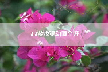 dnf游戏驱动哪个好