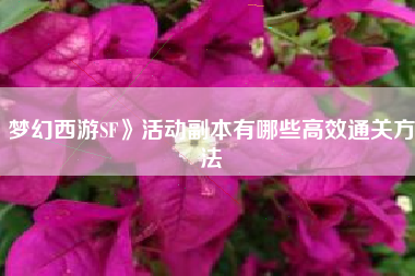 梦幻西游SF》活动副本有哪些高效通关方法