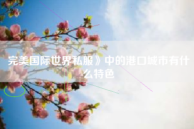 完美国际世界私服》中的港口城市有什么特色