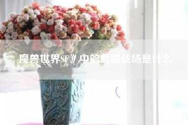 魔兽世界SF》中的跨服战场是什么