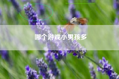 哪个游戏小男孩多