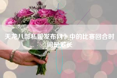 天龙八部私服发布网》中的比赛回合时间是多长