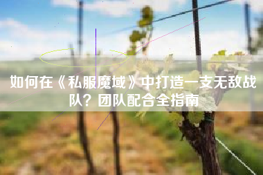 如何在《私服魔域》中打造一支无敌战队？团队配合全指南