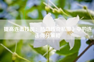 提高连击技能：热血传奇私服》中的连击得分策略