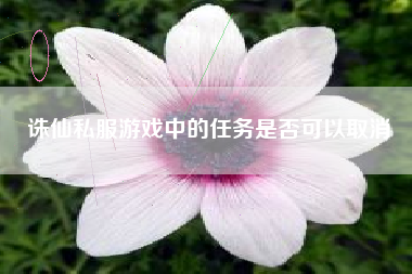 诛仙私服游戏中的任务是否可以取消