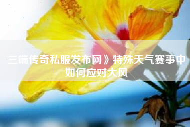 三端传奇私服发布网》特殊天气赛事中如何应对大风