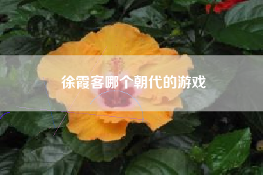 徐霞客哪个朝代的游戏