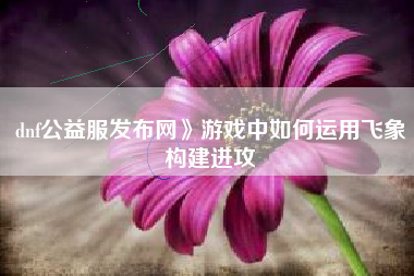 dnf公益服发布网》游戏中如何运用飞象构建进攻