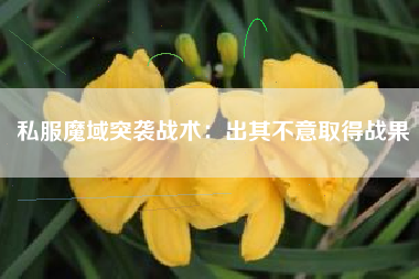 私服魔域突袭战术：出其不意取得战果