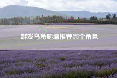 游戏乌龟爬墙推荐哪个角色