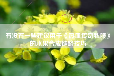有没有一些建议用于《热血传奇私服》的水果合成链路技巧