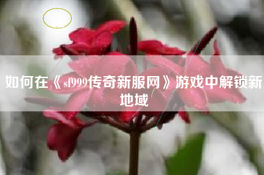 如何在《sf999传奇新服网》游戏中解锁新地域