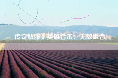 传奇私服》英雄合击：无敌组合