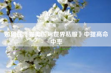 如何在《完美国际世界私服》中提高命中率