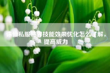 诛仙私服临界技能效果优化怎么了解，提高威力