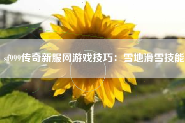 sf999传奇新服网游戏技巧：雪地滑雪技能
