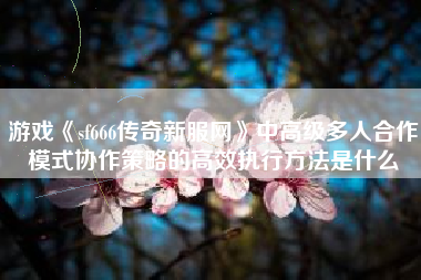 游戏《sf666传奇新服网》中高级多人合作模式协作策略的高效执行方法是什么