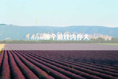 steam哪个游戏内存大