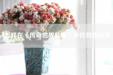 怎样在《传奇世界私服》中找到雪山宝藏