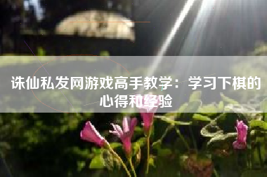 诛仙私发网游戏高手教学：学习下棋的心得和经验