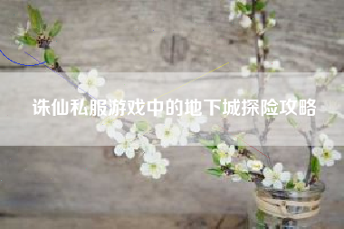 诛仙私服游戏中的地下城探险攻略