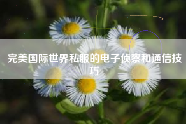 完美国际世界私服的电子侦察和通信技巧