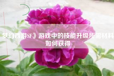 梦幻西游SF》游戏中的技能升级所需材料如何获得