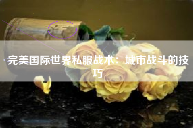 完美国际世界私服战术：城市战斗的技巧