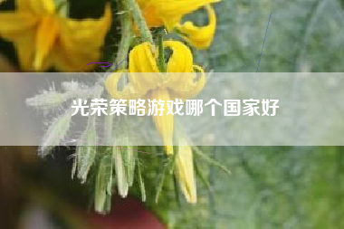 光荣策略游戏哪个国家好