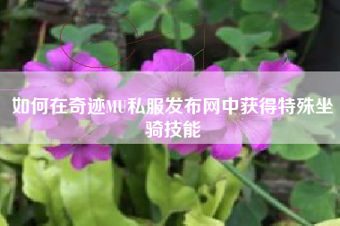 如何在奇迹MU私服发布网中获得特殊坐骑技能