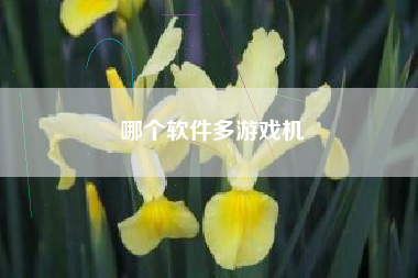 哪个软件多游戏机
