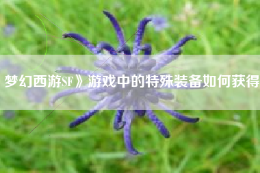 梦幻西游SF》游戏中的特殊装备如何获得