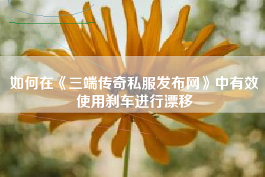 如何在《三端传奇私服发布网》中有效使用刹车进行漂移