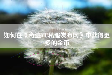 如何在《奇迹MU私服发布网》中获得更多的金币