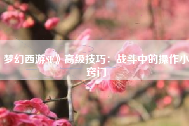 梦幻西游SF》高级技巧：战斗中的操作小窍门