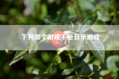 下列哪个游戏不是音乐游戏