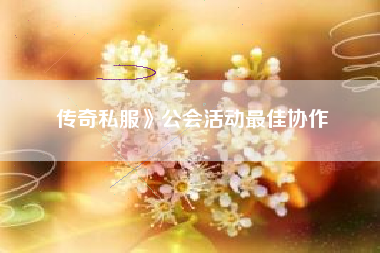 传奇私服》公会活动最佳协作