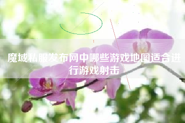 魔域私服发布网中哪些游戏地图适合进行游戏射击