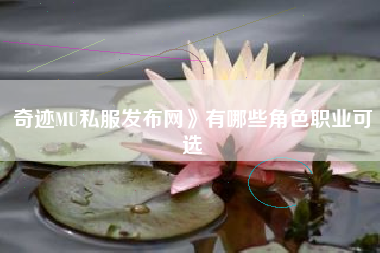 奇迹MU私服发布网》有哪些角色职业可选