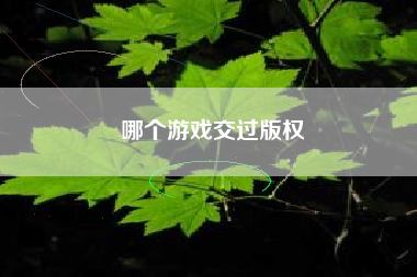 哪个游戏交过版权