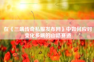 在《三端传奇私服发布网》中如何应对变化多端的山路赛道
