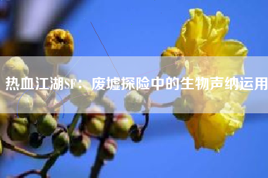 热血江湖SF：废墟探险中的生物声纳运用