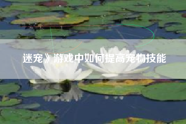 迷宠》游戏中如何提高宠物技能